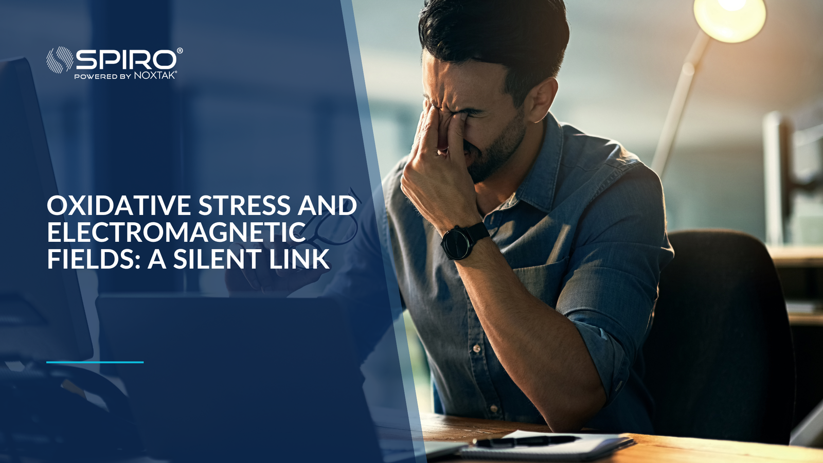 Oxidative Stress and Electromagnetic Fields: A Silent Link