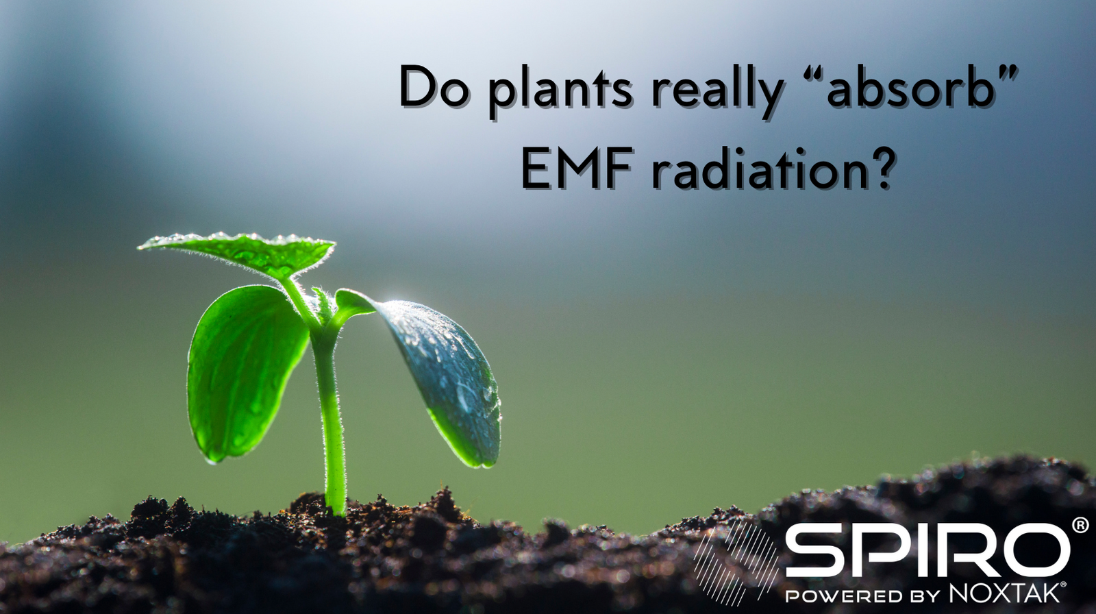 Do plants really “absorb” EMF radiation?